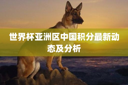 世界杯亚洲区中国积分最新动态及分析