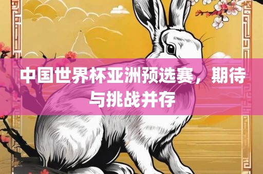 中国世界杯亚洲预选赛，期待与挑战并存