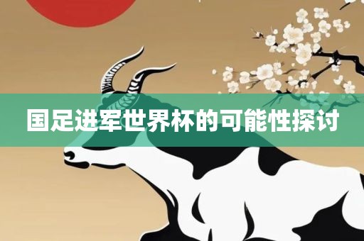 国足进军世界杯的可能性探讨