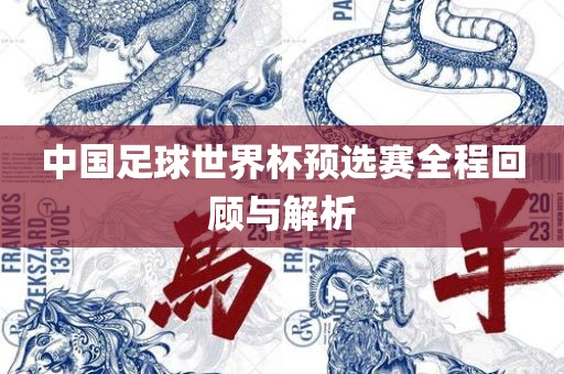 中国足球世界杯预选赛全程回顾与解析