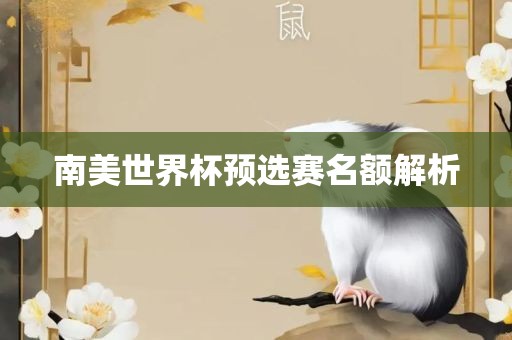 南美世界杯预选赛名额解析