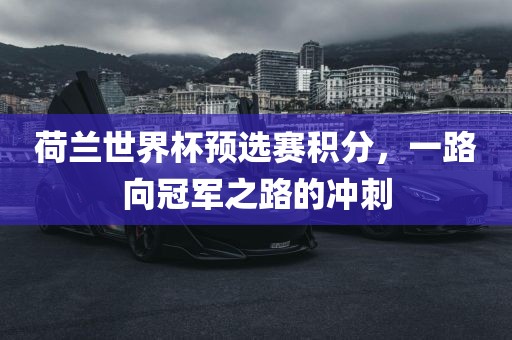 荷兰世界杯预选赛积分，一路向冠军之路的冲刺