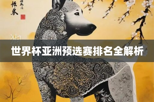 世界杯亚洲预选赛排名全解析