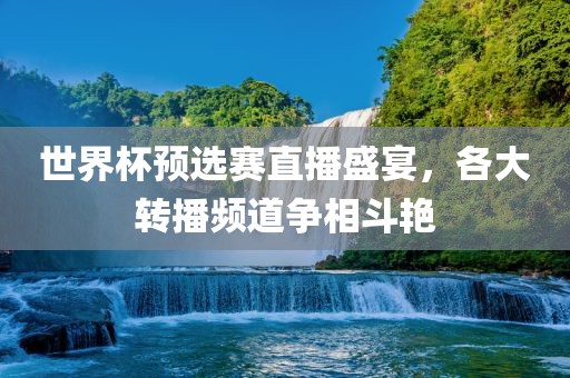 世界杯预选赛直播盛宴，各大转播频道争相斗艳