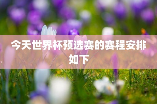 今天世界杯预选赛的赛程安排如下
