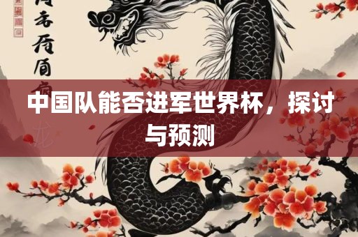 中国队能否进军世界杯，探讨与预测