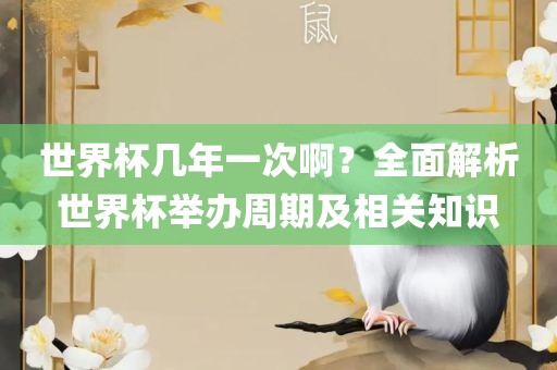 世界杯几年一次啊？全面解析世界杯举办周期及相关知识