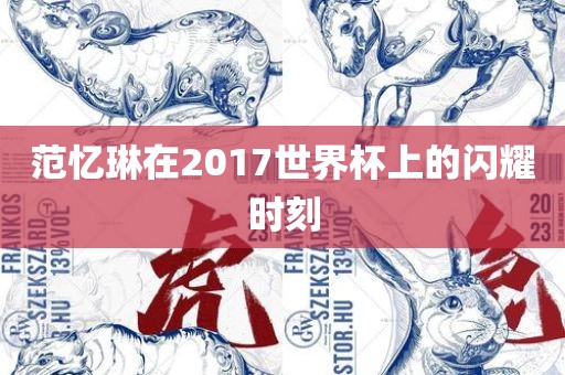 范忆琳在2017世界杯上的江门市永晋源无纺布有限公司闪耀时刻