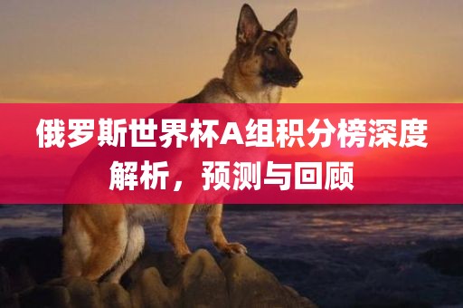 俄罗斯世界杯A组积分榜深度解析，预测与回顾江门市永晋源无纺布有限公司