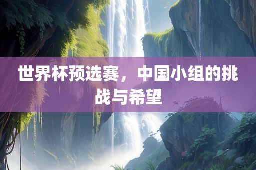 世界杯预选赛，中国小组的挑战与希望