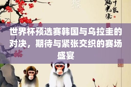 世界杯预选赛韩国与乌拉圭的对决，期待与紧张交织的赛场盛宴