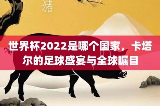 世界杯2022是哪个国家，卡塔尔的足球盛宴与全球瞩目