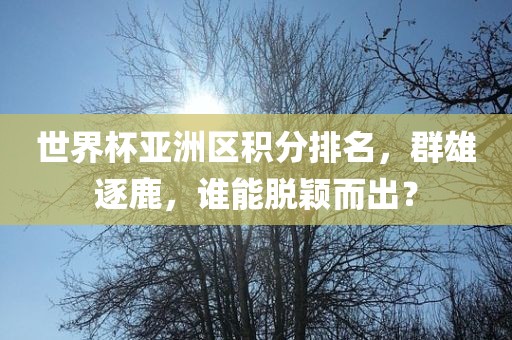 世界杯亚洲区积分排名，群雄逐鹿，谁能脱颖而出？