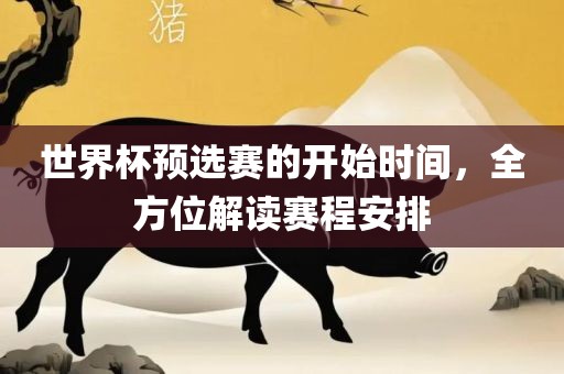 世界杯预选赛的开始时间，全方位解读赛程安排