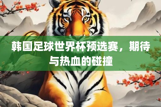 韩国足球世界杯预选赛，期待与热血的碰撞