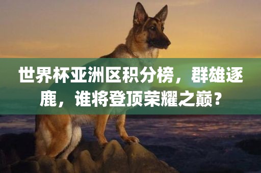 世界杯亚洲区积分榜，群雄逐鹿，谁将登顶荣耀之巅？