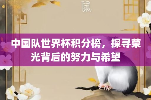 中国队世界杯积分榜，探寻荣光背后的努力与希望