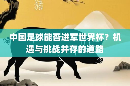 中国足球能否进军世界杯？机遇与挑战并存的道路