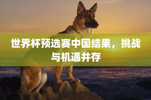 世界杯预选赛中国结果，挑战与机遇并存