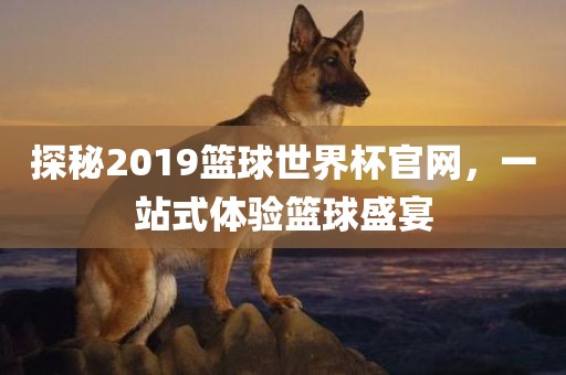探秘2019篮球世界杯官网，一站式体验篮球盛宴