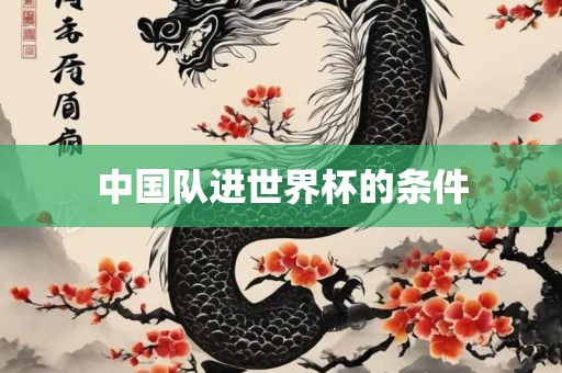 中国队进世界杯的条件