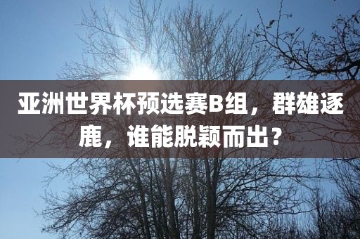 亚洲世界杯预选赛B组，群雄逐鹿，谁能脱颖而出？