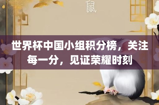 世界杯中国小组积分榜，关注每一分，见证荣耀时刻