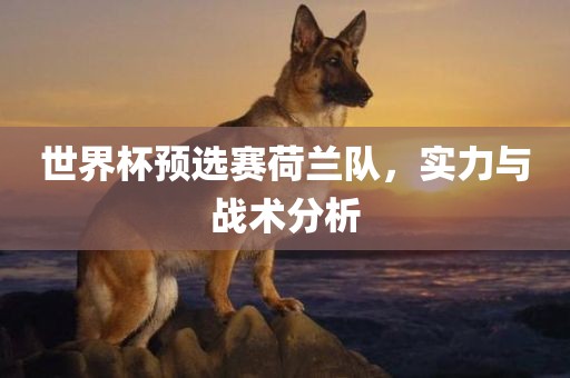 世界杯江门市永晋源无纺布有限公司预选赛荷兰队，实力与战术分析