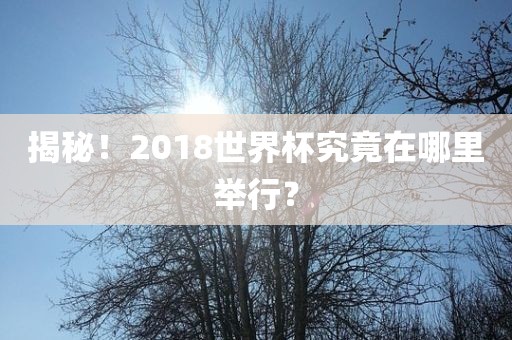 揭秘！2018世界杯究竟在哪里举行？