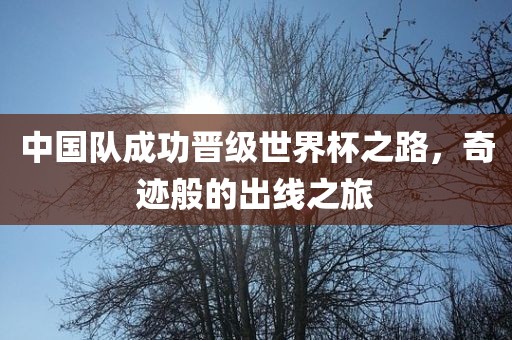 中国队成功晋级世界杯之路，奇迹般的出线之旅