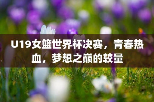 U19女篮世界杯决赛，青春热血，梦想之巅的较量