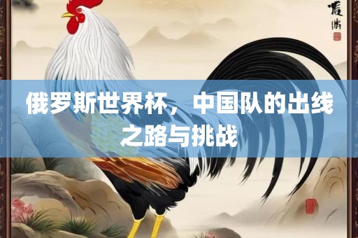 俄罗斯世界杯，中国队的出线之路与挑战