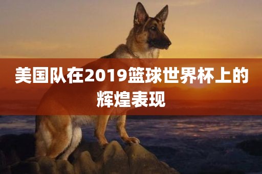 美国队在2019篮球世界杯上的辉煌表现