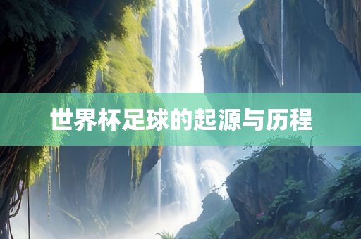 世界杯足球的起源与历程