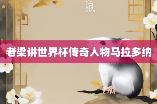 老梁讲世界杯传奇人物马拉多纳
