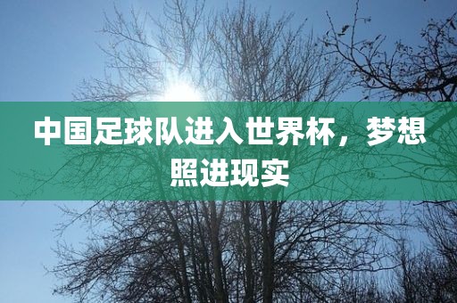 中国足球队进入世界杯，梦想照进现实