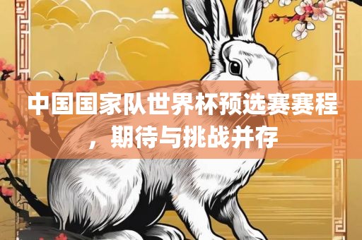 中国国家队世界杯预选赛赛程，期待与挑战并存