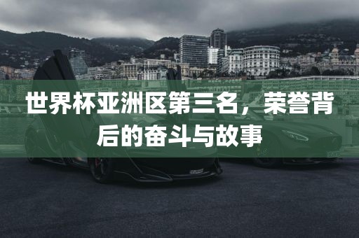 世界杯亚洲区第三名，荣誉背后的奋斗与故事