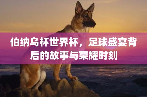 伯纳乌杯世界杯，足球盛宴背后的故事与荣耀时刻