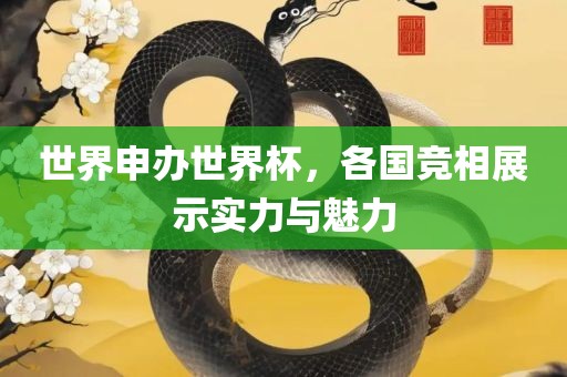 世界申办世界杯，各国竞相展示实力与魅力