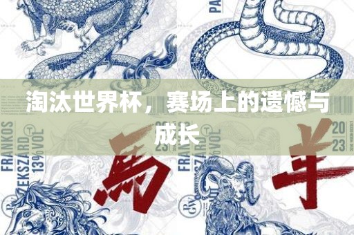 淘汰世界杯，赛场上的遗憾与成长