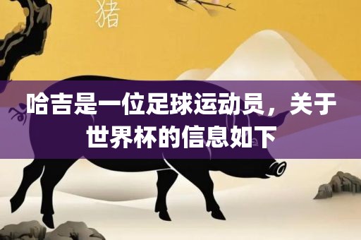 哈吉是一位足球运动员，关于世界杯的信息如下