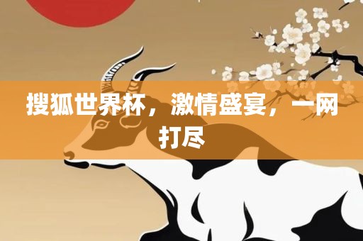 搜狐世界杯，激情盛宴，一网打尽