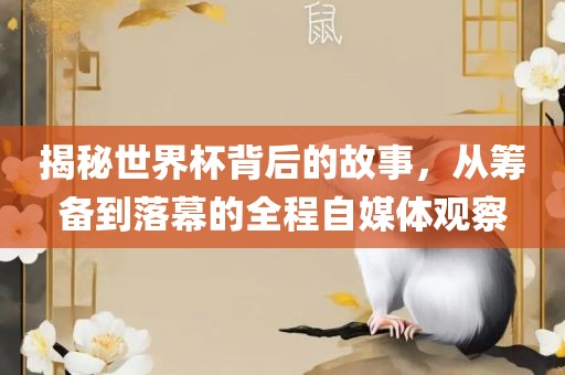 揭秘世界杯背后的故事，从筹备到落幕的全程自媒体观察