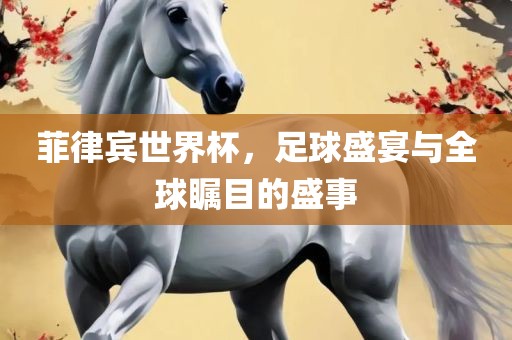 菲律宾世界杯，足球盛宴与全球瞩目的盛事