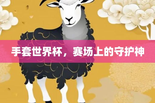 手套世界杯，赛场上的守护神