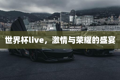 世界杯live，激情与荣耀的盛宴