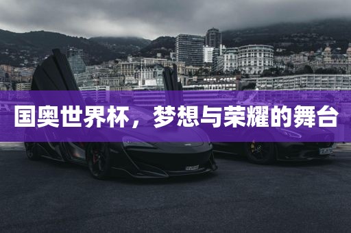 国奥世界杯，梦想与荣耀的舞台