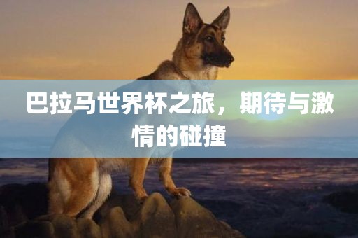 巴拉马世界杯之旅，期待与激情的碰撞