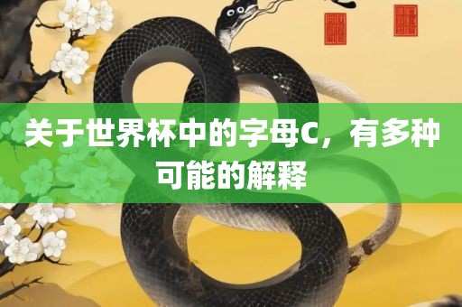 关于世界杯中的字母C，有多种可能的解释